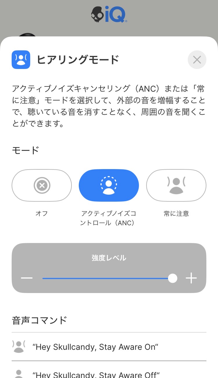 Skullcandy Rail ANC アプリ画面