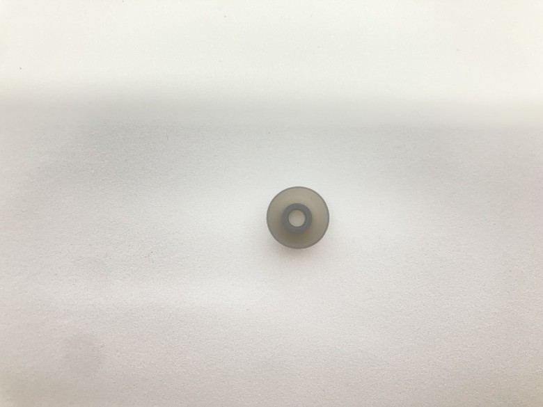 earfun Free 1S イヤーピース
